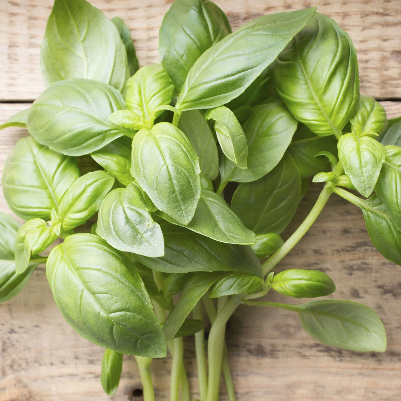 Basil Edible Perfume Spray