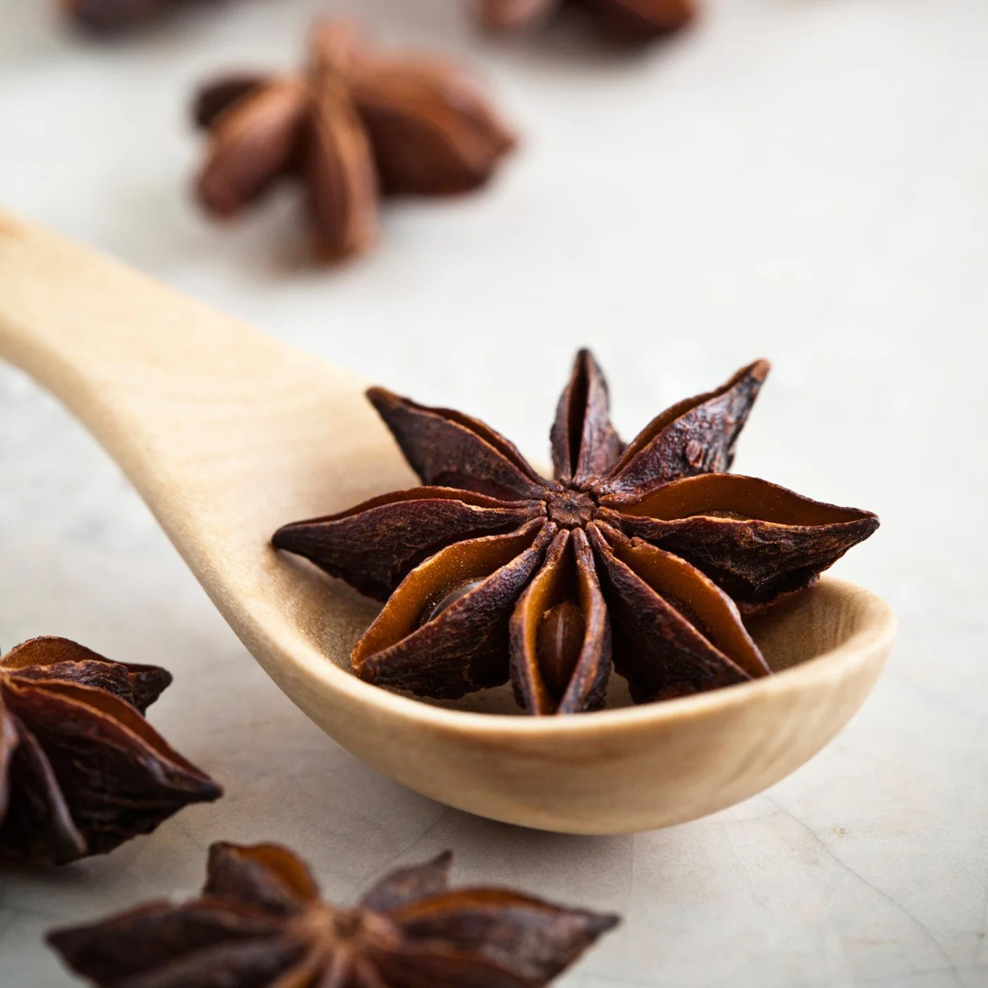 French Star Anise Type Liqueur Concentrate