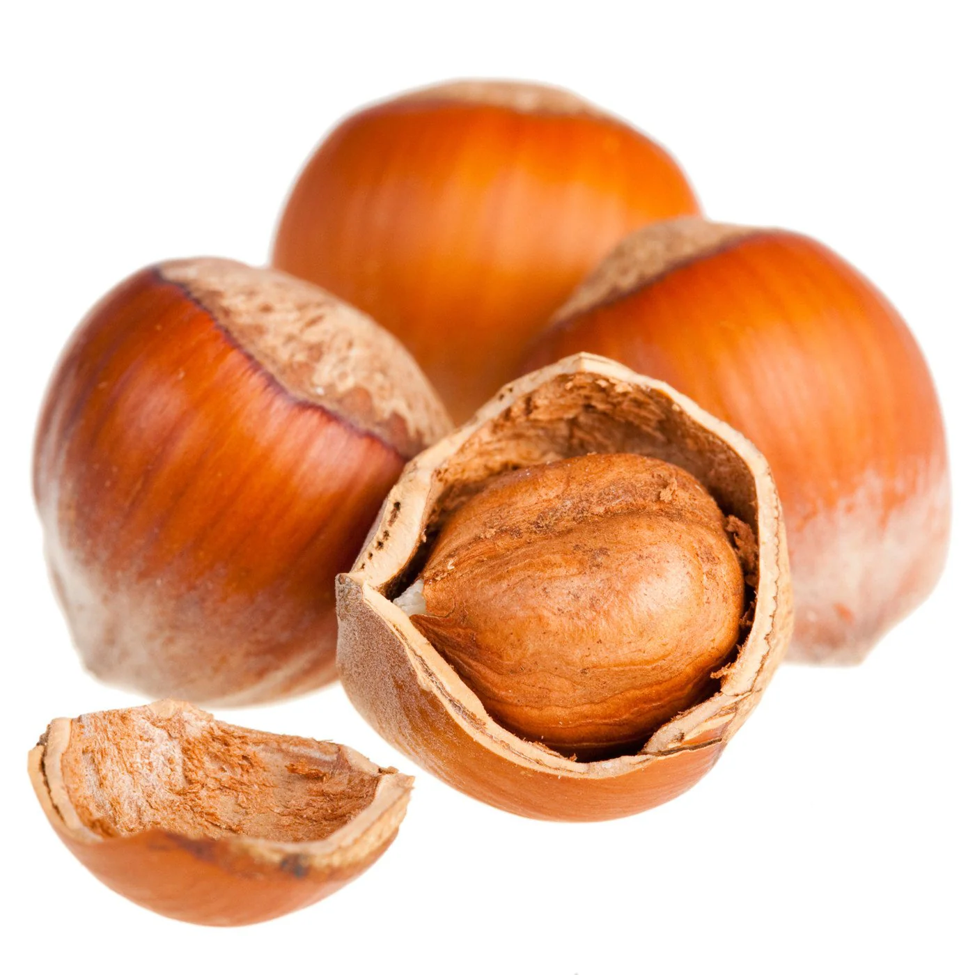 Hazelnut Pralinosa - Dark Roasted, Ultra Smooth Natural (skin on) Hazelnut Butter (sugar added) - Image 3