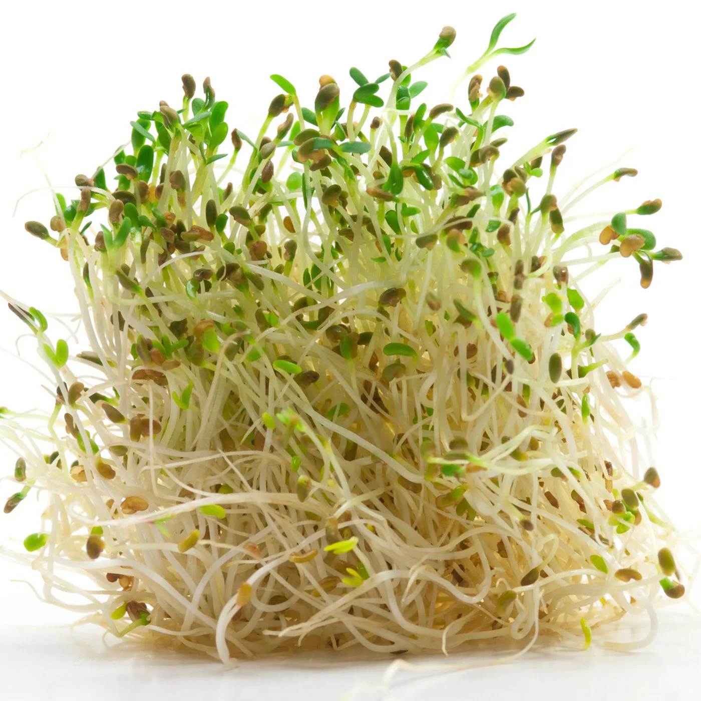 Natural Alfalfa Extract Water Soluble 5X