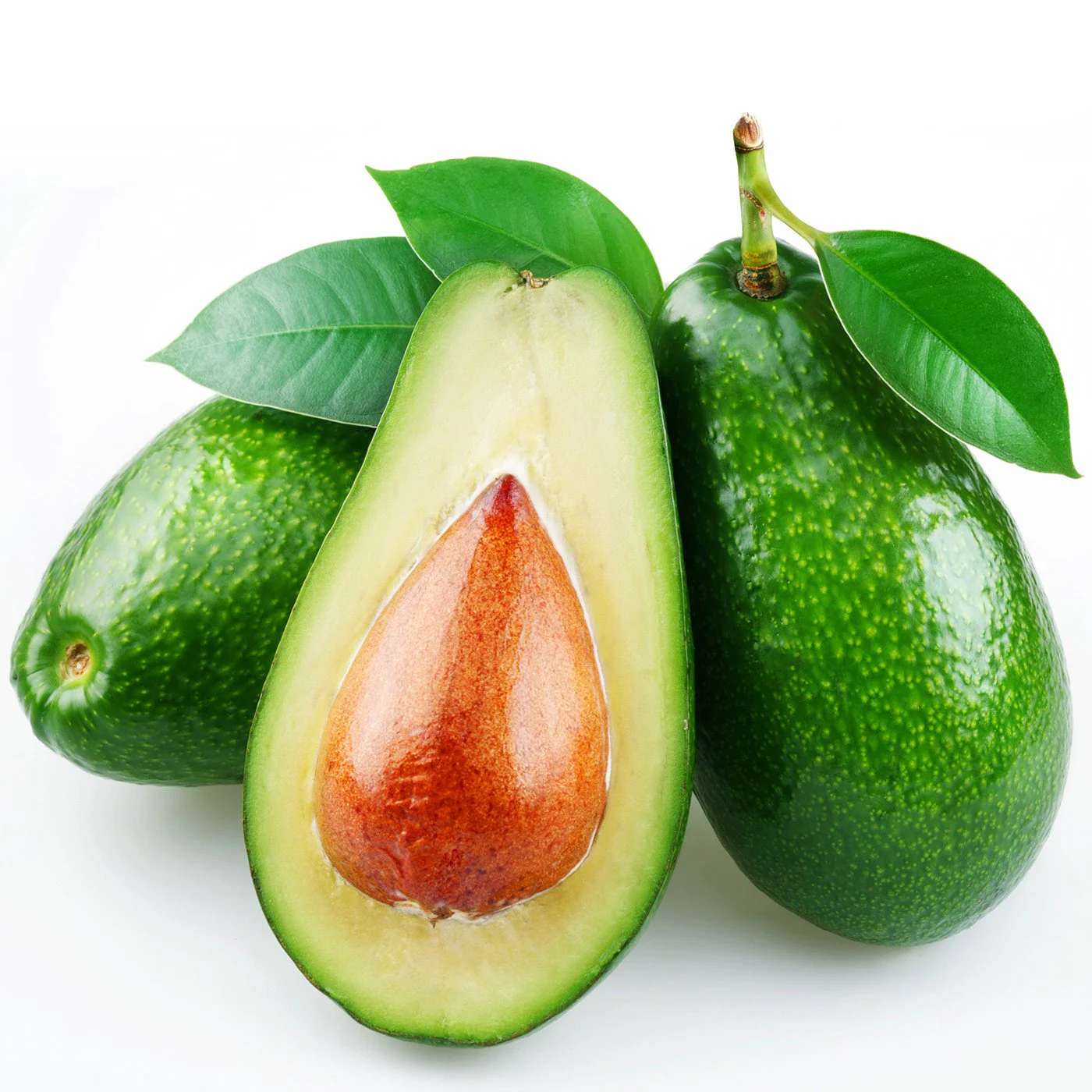 Natural Avocado Type Extract Water Soluble