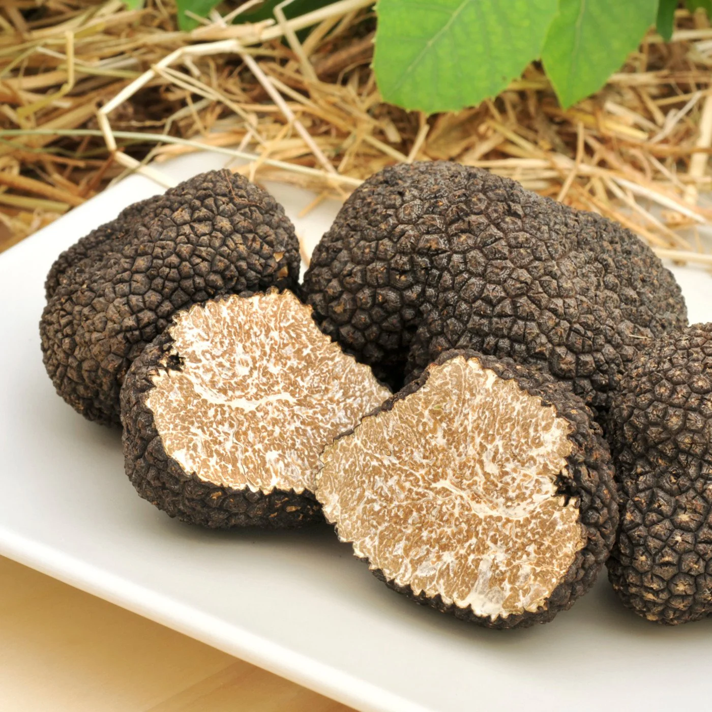Natural Black Truffle Extract Oil Soluble