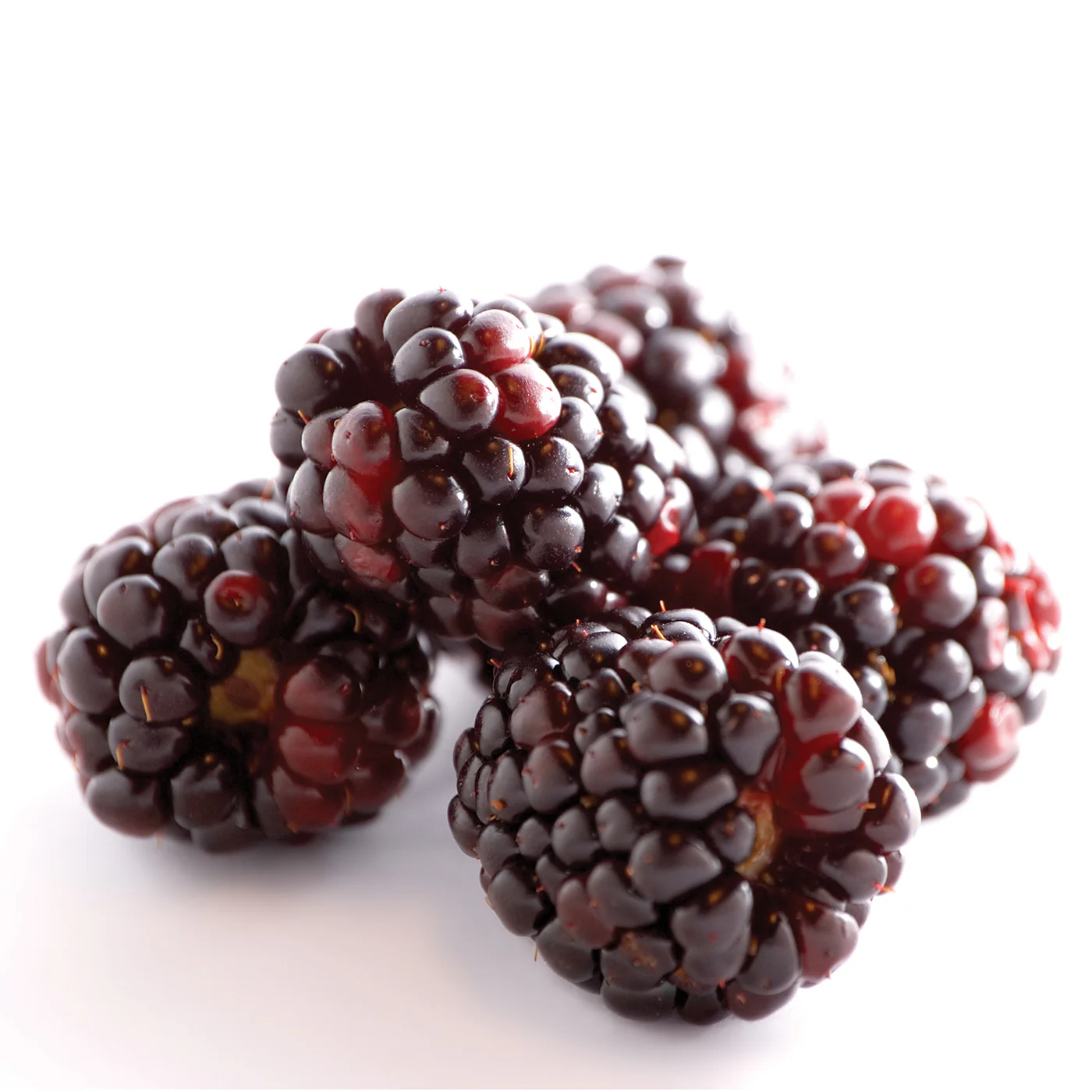 Natural Boysenberry Extract Oil Soluble - Image 3