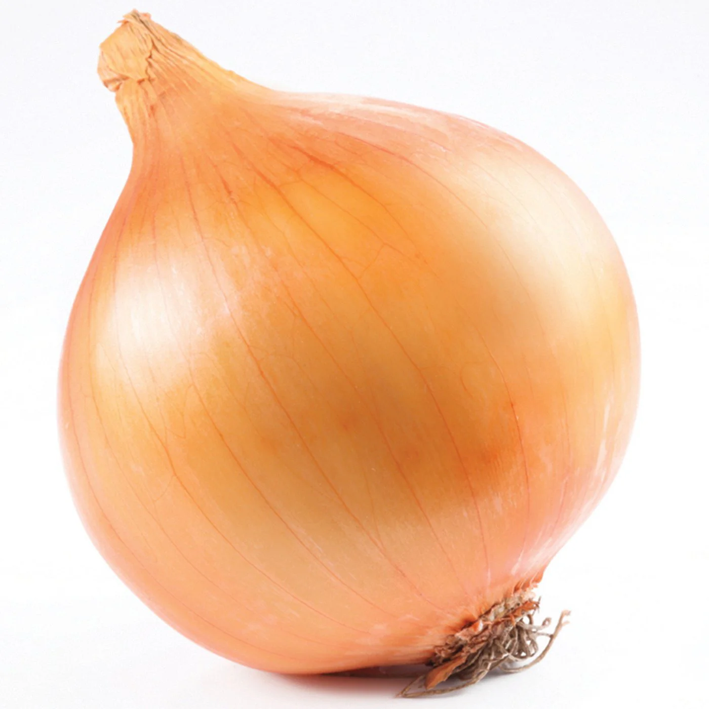Onion Extract Water Soluble