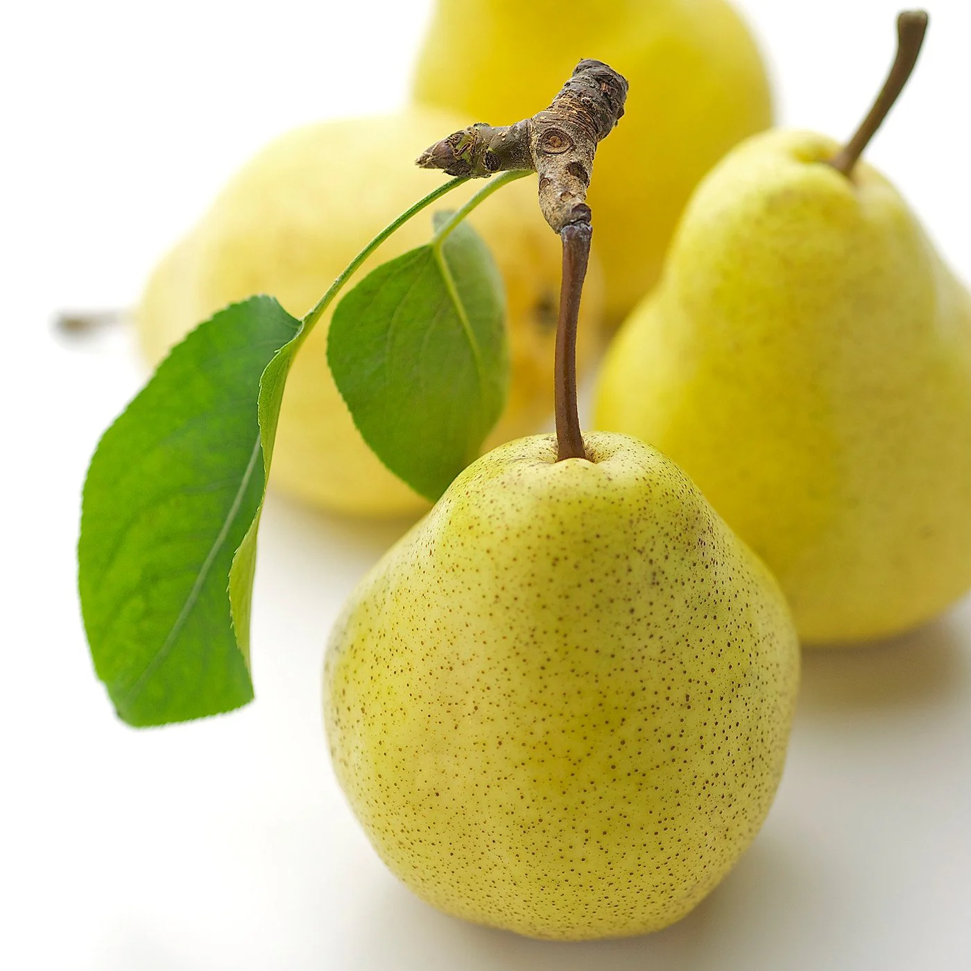 Pear Williams Liqueur Concentrate