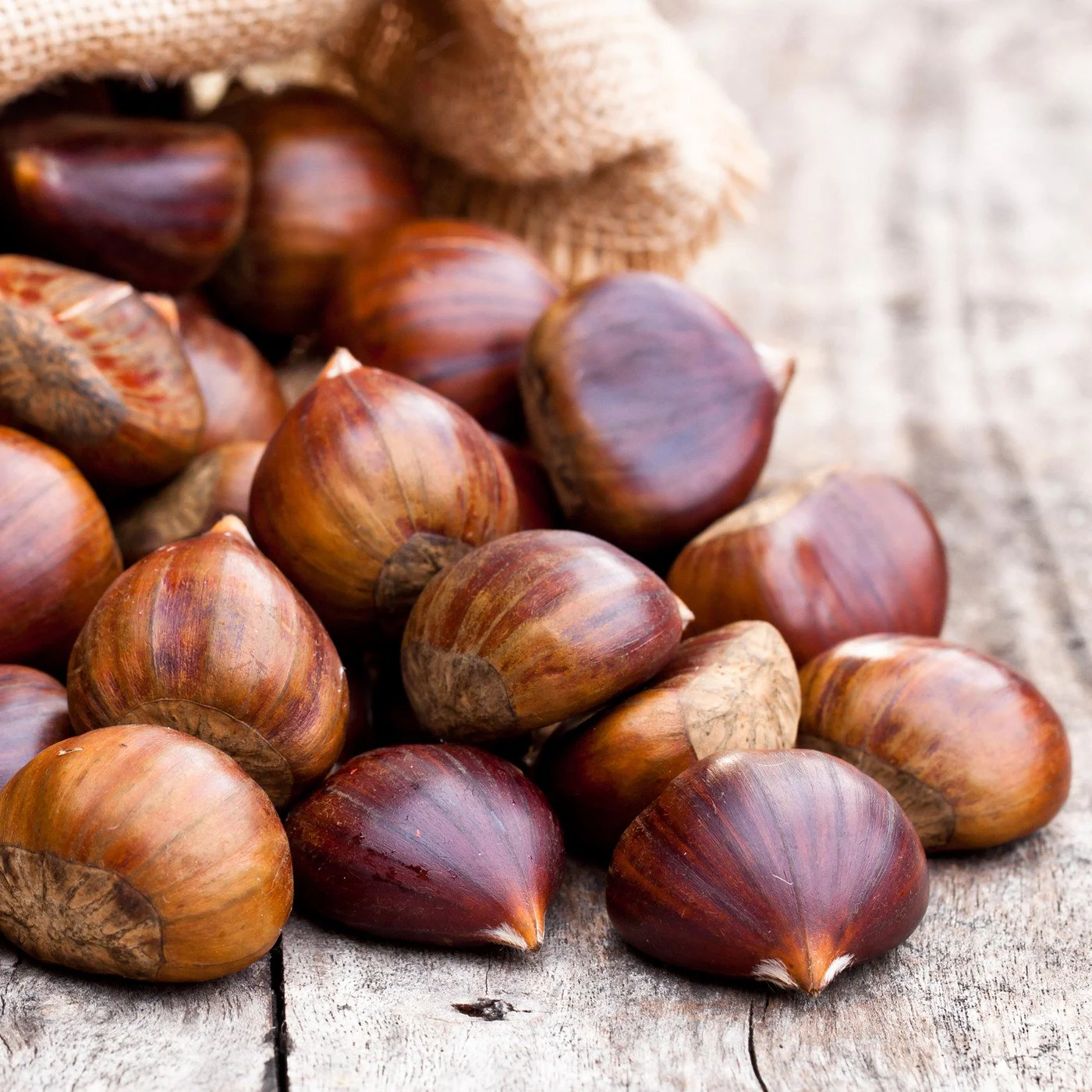 Roasted Chestnut Paste (refrigerate) - Image 3