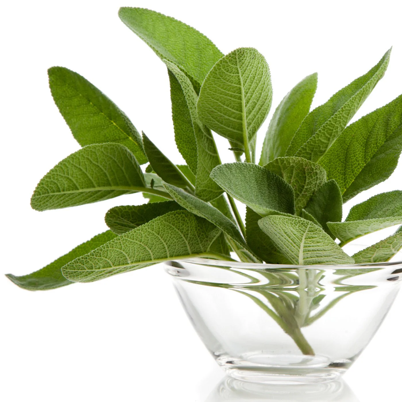 Sage Dalmatian Edible Perfume Spray