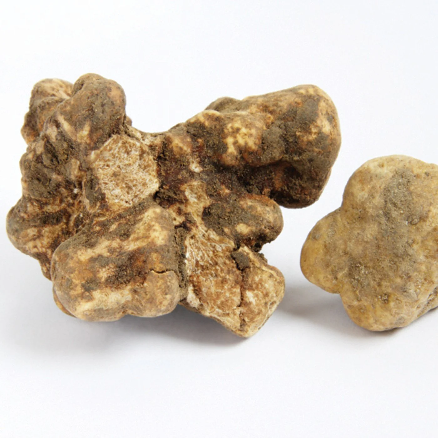 White Truffle Natural Extract Water Soluble