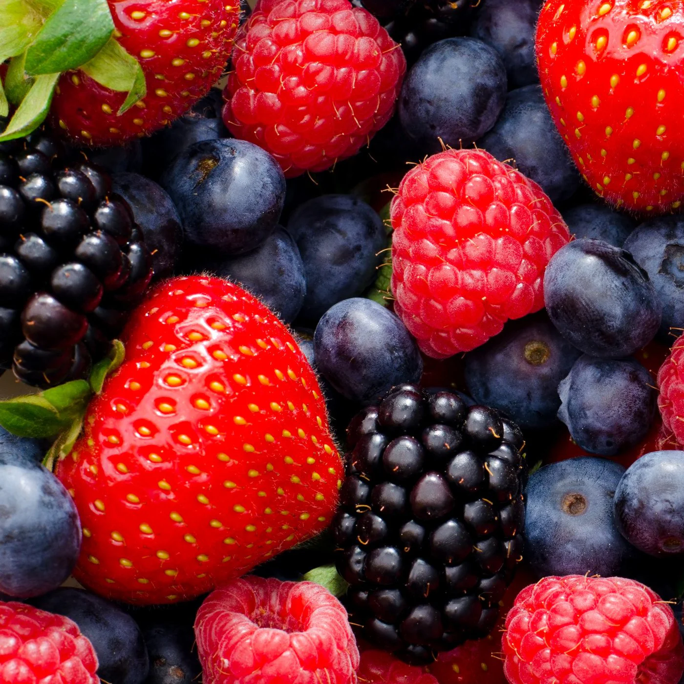 Wild Berry Compound - Image 7